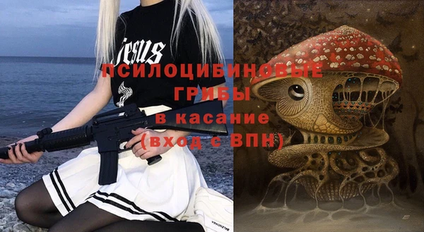 бошки Каменногорск