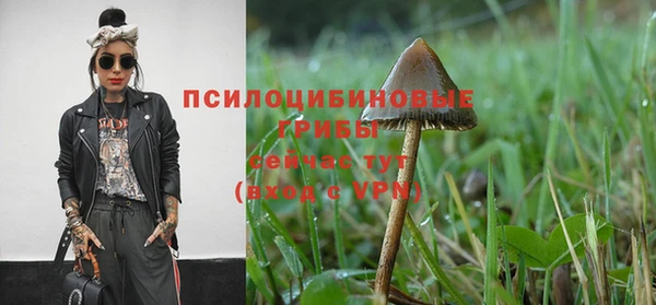 бошки Каменногорск