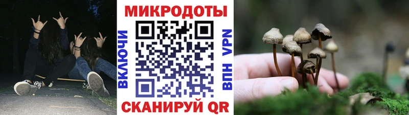 наркота  Кизел  Галлюциногенные грибы MAGIC MUSHROOMS 
